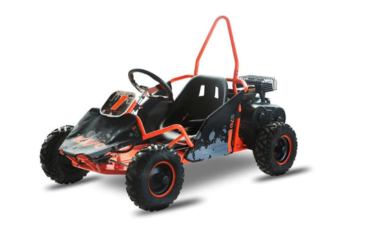 S70 Go Kart